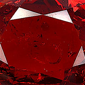 product close up Product closeup