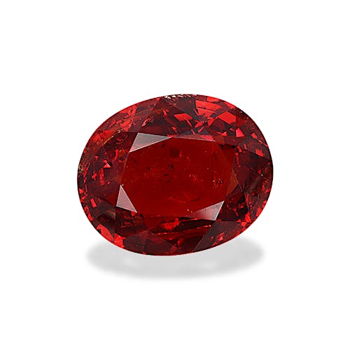 Product image-1 Product image-1