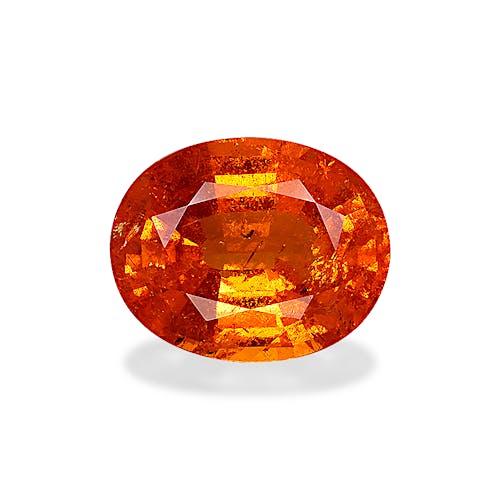 Product image-1 Product image-1