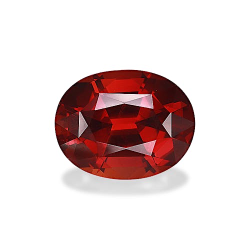 Product image-1 Product image-1