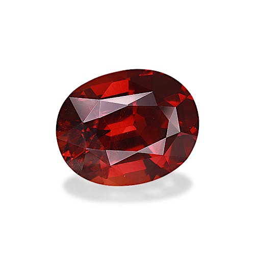 Product image-1 Product image-1