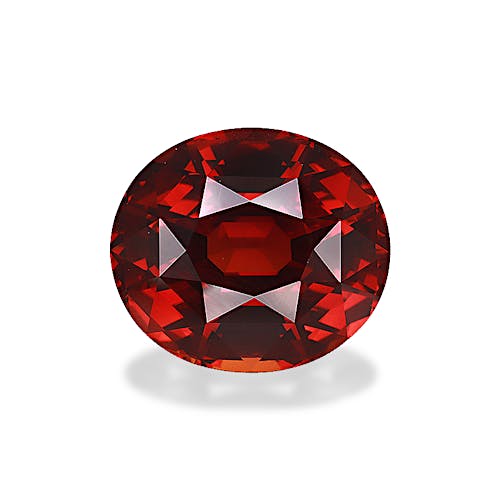 Product image-1 Product image-1