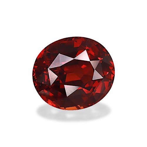 Product image-1 Product image-1