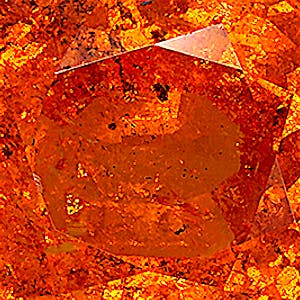 product close up Product closeup