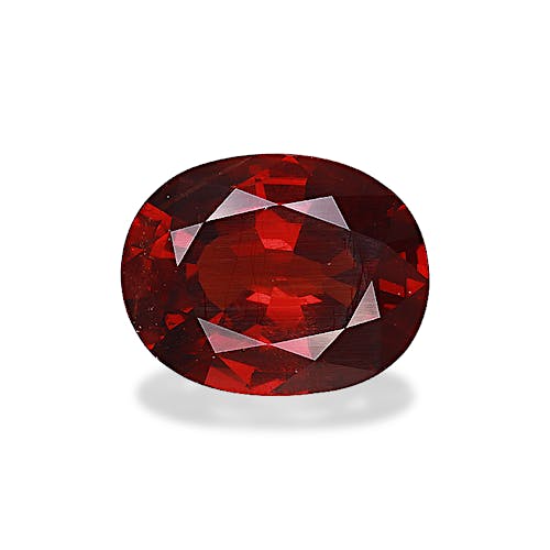 Product image-1 Product image-1