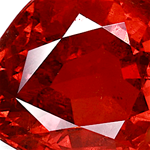 product close up Product closeup