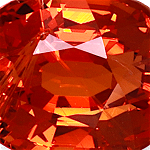 product close up Product closeup