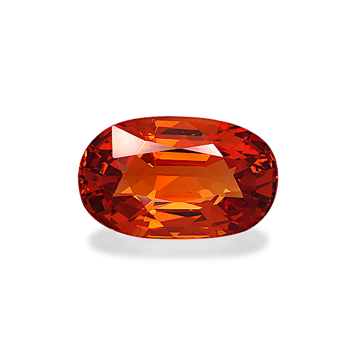 Product image-1 Product image-1