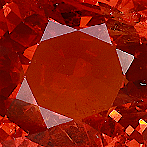 product close up Product closeup