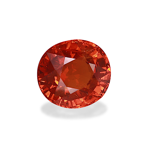 Product image-1 Product image-1