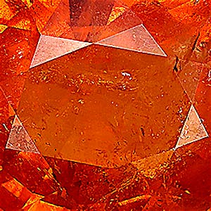 product close up Product closeup