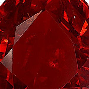 product close up Product closeup