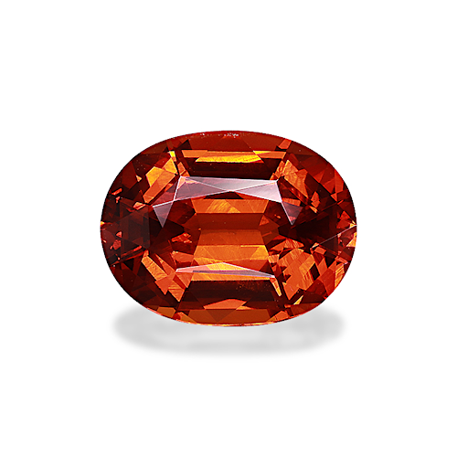 Product image-1 Product image-1