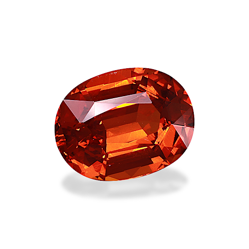 Product image-1 Product image-1