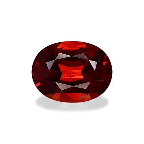 Product image-1 Product image-1