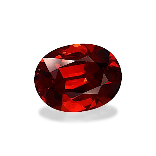 Product image-1 Product image-1