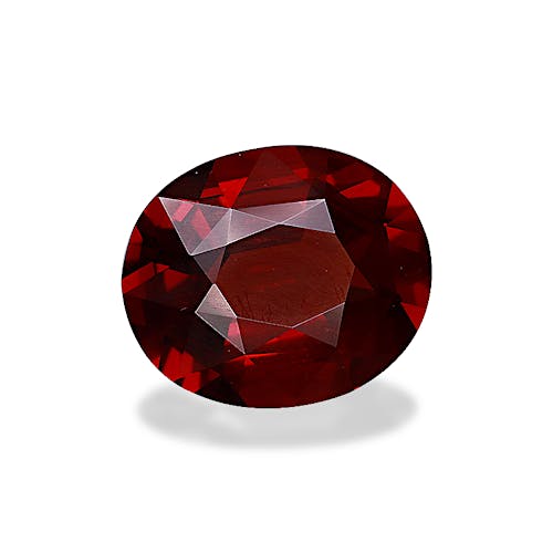 Product image-1 Product image-1