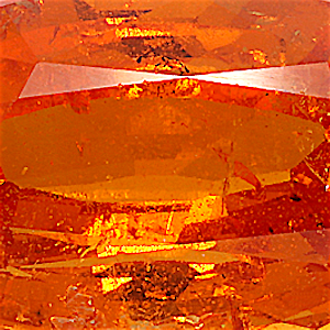 product close up Product closeup