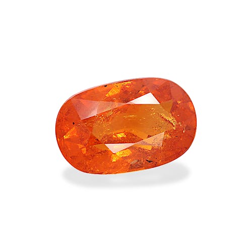 Product image-1 Product image-1