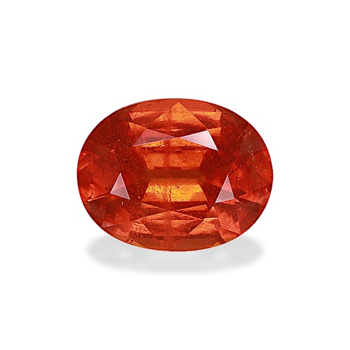 Product image-1 Product image-1