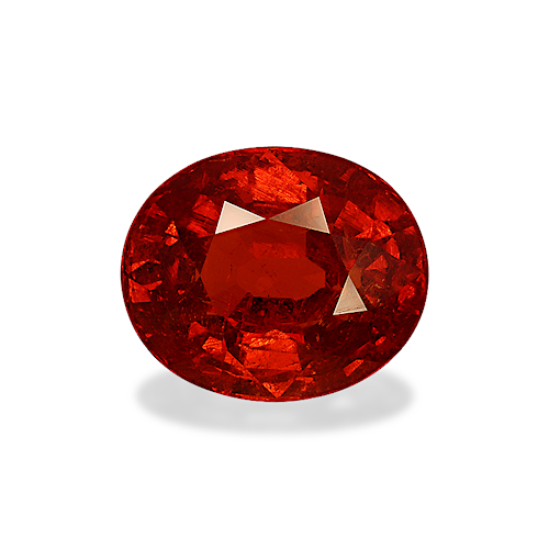 Product image-1 Product image-1