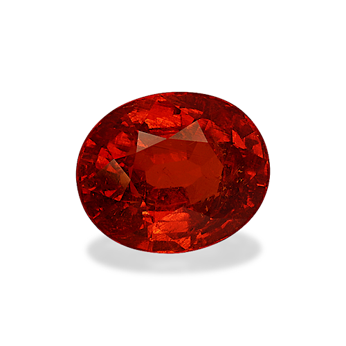 Product image-1 Product image-1