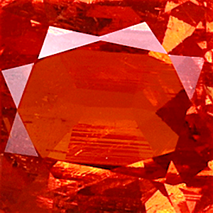 product close up Product closeup