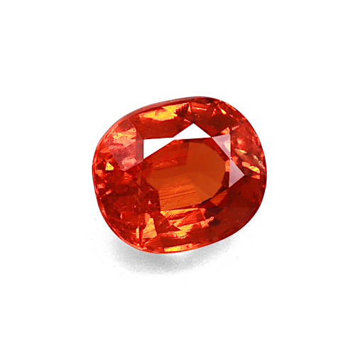 Product image-1 Product image-1