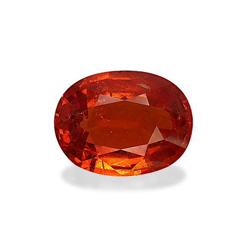 Product image-1 Product image-1