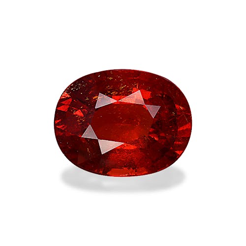 Product image-1 Product image-1