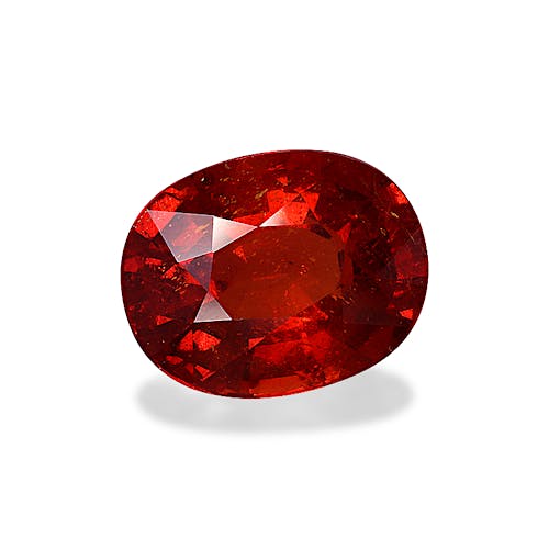 Product image-1 Product image-1