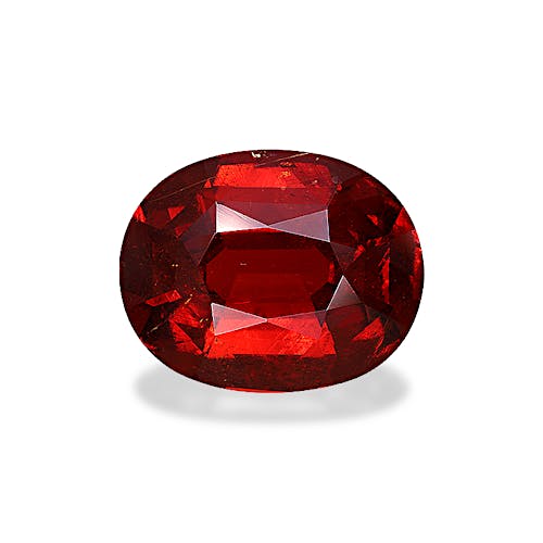 Product image-1 Product image-1