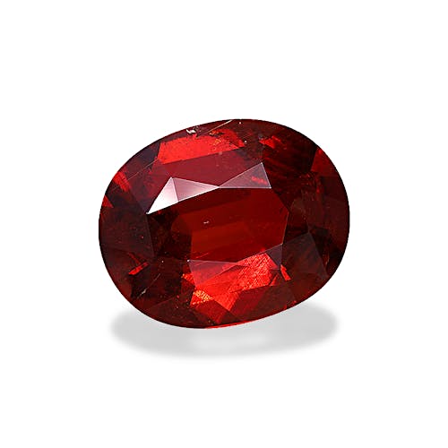 Product image-1 Product image-1