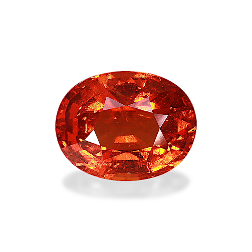 Product image-1 Product image-1