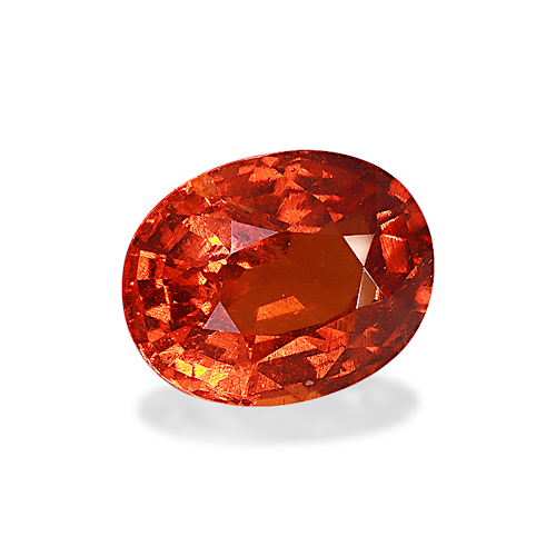 Product image-1 Product image-1