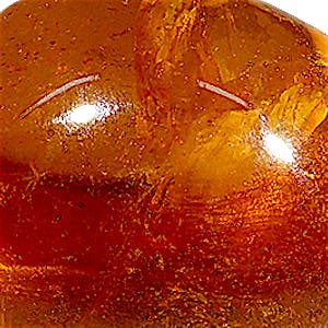 product close up Product closeup