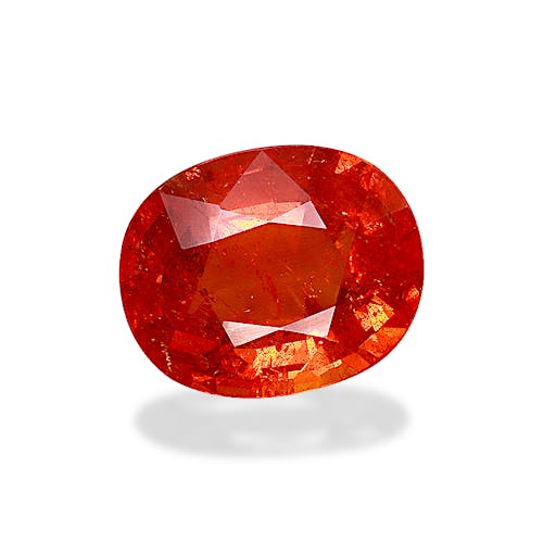 Product image-1 Product image-1