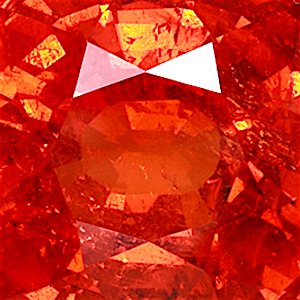 product close up Product closeup