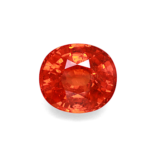 Product image-1 Product image-1