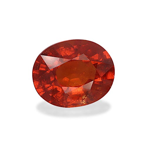 Product image-1 Product image-1