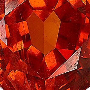 product close up Product closeup