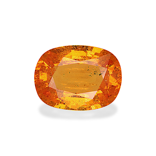 Product image-1 Product image-1