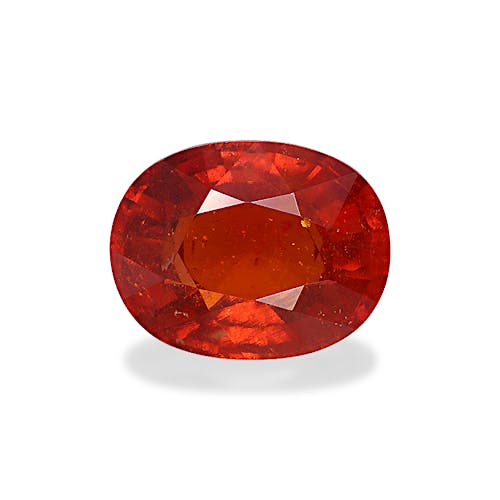 Product image-1 Product image-1