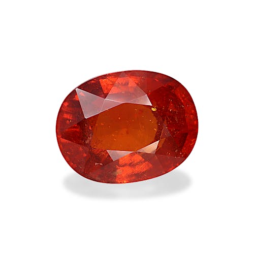 Product image-1 Product image-1