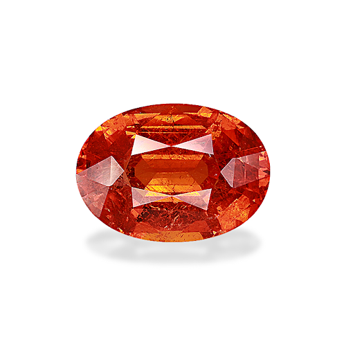 Product image-1 Product image-1