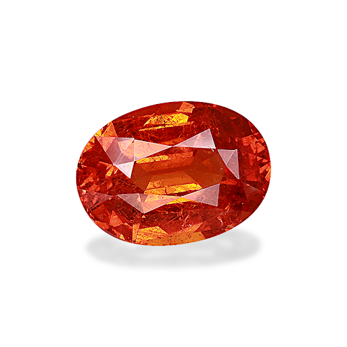 Product image-1 Product image-1