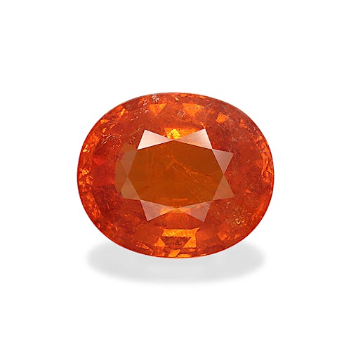 Product image-1 Product image-1