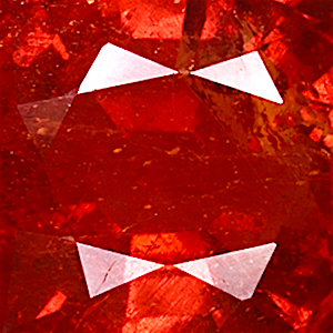 product close up Product closeup