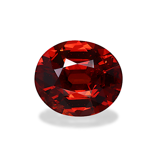 Product image-1 Product image-1