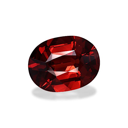 Product image-1 Product image-1